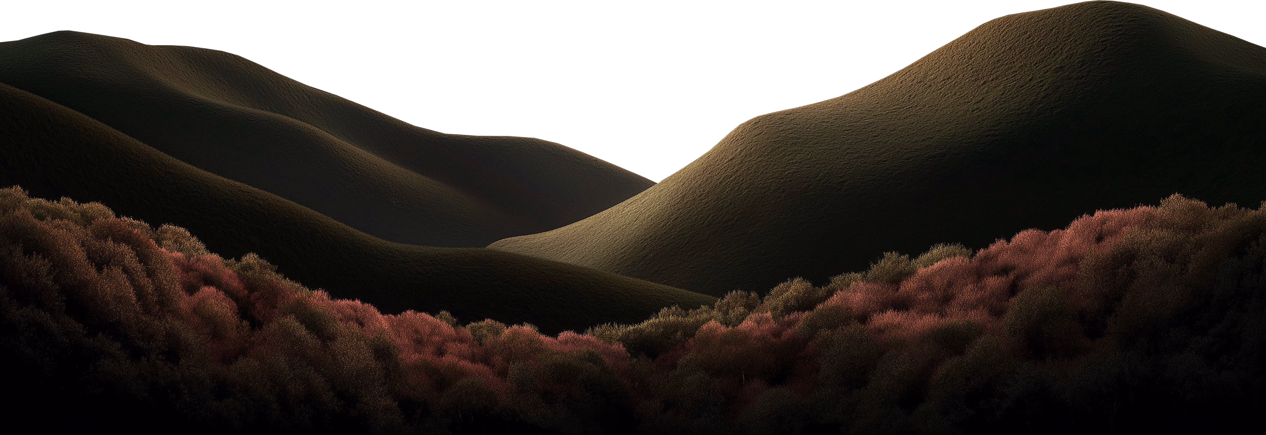 Transparent image of grass hills